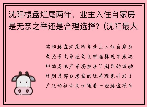 沈阳楼盘烂尾两年，业主入住自家房是无奈之举还是合理选择？(沈阳最大烂尾楼群)