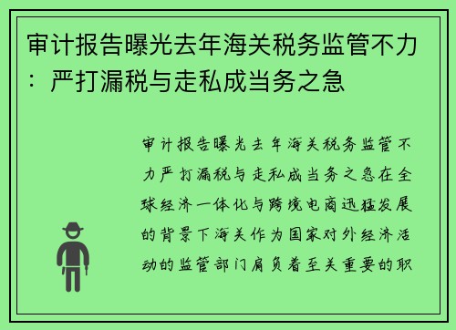 审计报告曝光去年海关税务监管不力：严打漏税与走私成当务之急