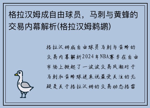 格拉汉姆成自由球员，马刺与黄蜂的交易内幕解析(格拉汉姆鹈鹕)